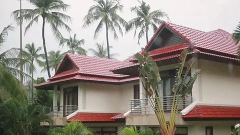 Tropical rain drops falling on the palm leaves in island Koh Samui, Thailand Stock Footage 78177620