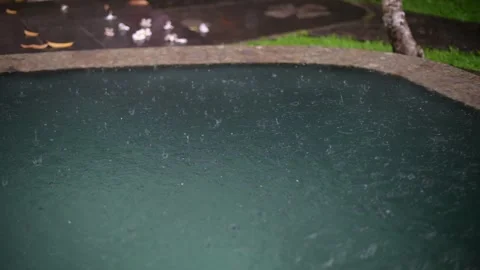 Tropical rain drops falling onto the surface of a swimming pool. Stock Footage 251115469