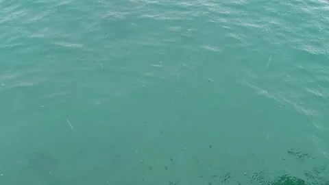 Tropical rain drops falling onto the surface of sea. Stock Footage 311425041