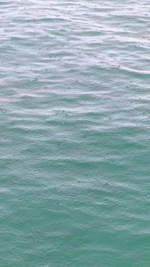 Tropical rain drops falling onto the surface of sea. Stock Footage 311521107