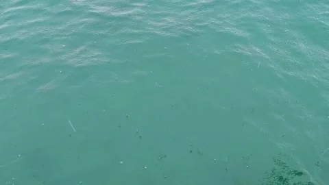 Tropical rain drops falling onto the surface of sea. Stock Footage 311576052