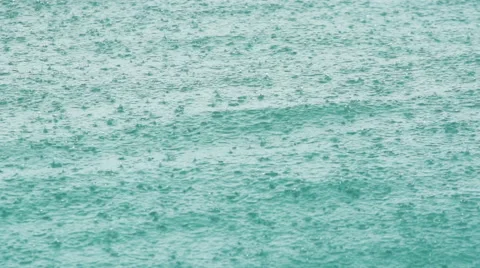 Tropical Rain Stock Footage 48136236