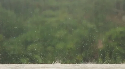 Tropical Rain Stock Footage 58914061