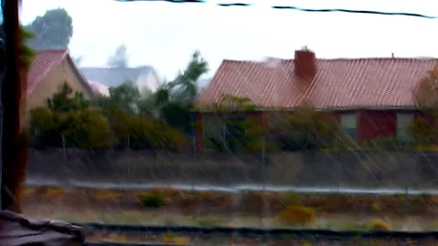 Tropical Rain Stock Footage