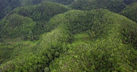 Tropical rain forest covered karst hills Stock Footage 45740014
