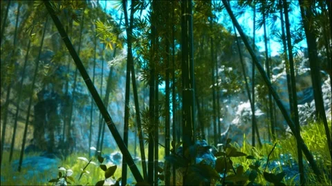 Tropical rain forest Stock Footage 288005423