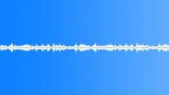 Tropical Rain Forest LifeSound Effect