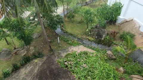 Tropical rain in a hotel in Samui Stock Footage 194444563