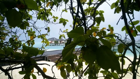 Tropical rain in the Maldives. Видео 91285608