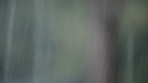 Tropical Rain in Rainforest Background Stock Footage 75059819