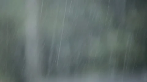 Tropical Rain in Rainforest Background Stock Footage 75066798