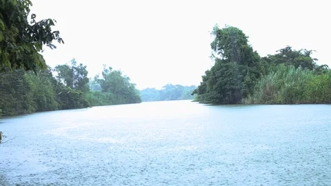 Tropical Rain in the river Stock Footage 85662363