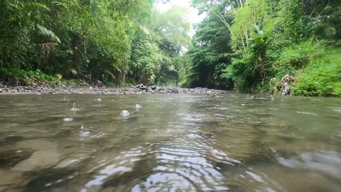 Tropical Rain on River Surface, Bali, Indonesia  – Low Angle Cinematic View Stock Footage 320892832