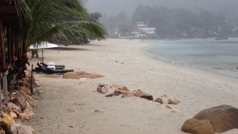 Tropical rain on Samui island Video stock 71671259
