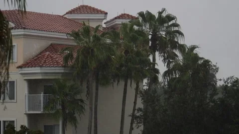 Tropical rain storm over a red tiled villa with palm trees Stock Footage 157302269