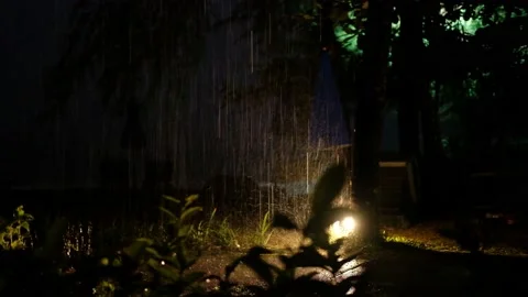 Tropical rain thunderstorm, lightning flash Stock Footage 90923608
