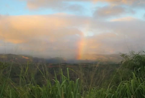 Tropical Rainbow 2 SD Stock-Footage 8516816