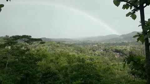 Tropical Rainbow Stock Footage 165492023