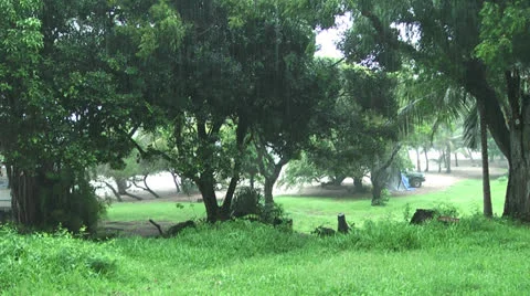 Tropical rainfall at a beach in Kenya Video stock 24621493