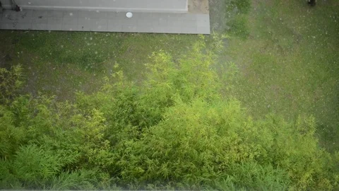 Tropical Rainfall Stock Footage 75066823