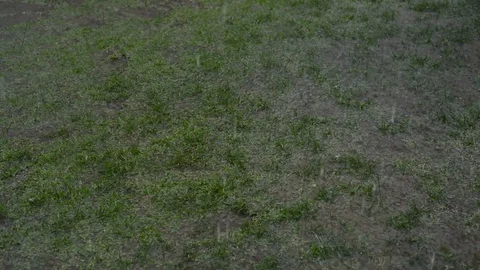 Tropical Rainfall Stock Footage 75067036