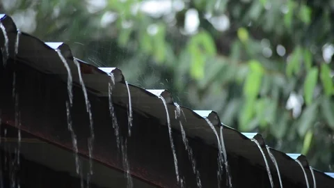 Tropical Rainfall Stock Footage 75081821