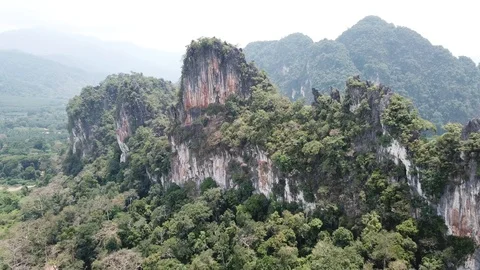 Tropical Rainforest and cliffs Stock Footage 88234144