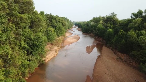 Tropical Rainforest. Stock Footage 87928397