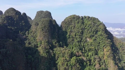 Tropical Rainforest Stock Footage 102114277