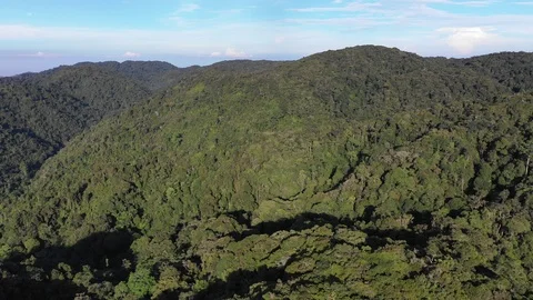 Tropical Rainforest Vídeos de archivo 108745377