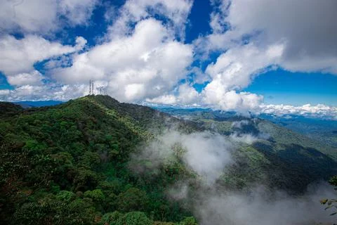 Tropical rainforest mountain view in Cameron Highlands, Stock Photos