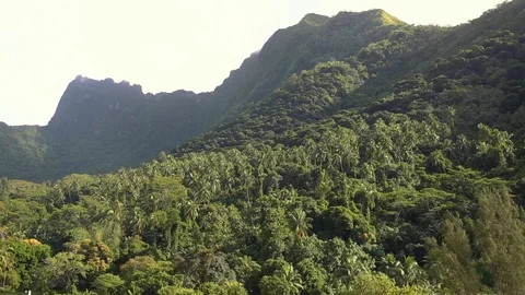 Tropical Rainforest Peaks Stock Footage 114022957