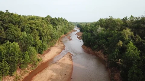Tropical Rainforest river Stock Footage 87928391