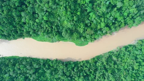 Tropical Rainforest river Stock Footage 108722453