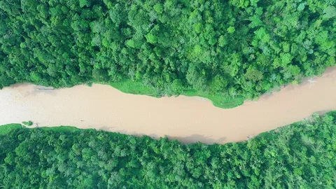 Tropical Rainforest river Vídeo Stock 108722454