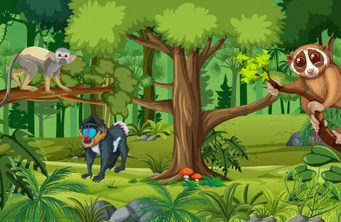Tropical rainforest scene with various wild animals Stock Illustration