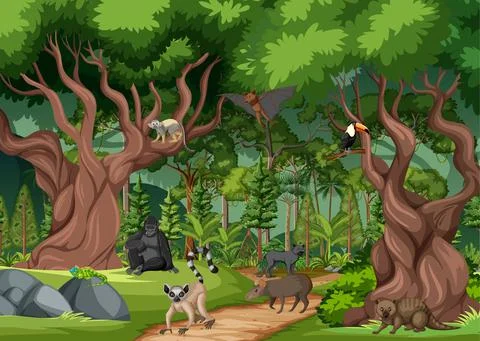 Tropical rainforest scene with various wild animals Stock Illustration