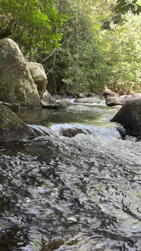 Tropical Rainforest Stream Flowing Over Rocks in Malaysia Stock Footage 327043257
