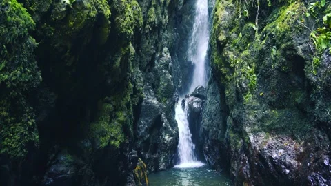 Tropical Rainforest Waterfall Flowing Down Mossy Rocks Into Natural Pool Vidéo 334917332