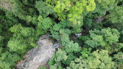 Tropical Rainforest waterfall Stock-Footage 91164192