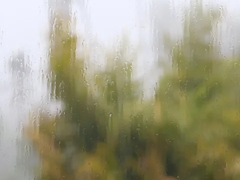 Tropical rainy day in fall. Raindrop on house window glass and green palm leaves Stock Footage 76923378