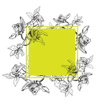 Tropical rectangular square frame with orchids, ink hand drawn flowers on white Stock Illustration