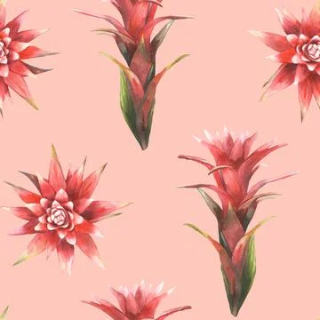 Tropical red flower seamless pattern, watercolor bromeliad exotic bud fabric Stock Illustration