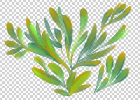 Tropical red green plant elements autumn watercolor hand painting illustratio Illustrazione stock