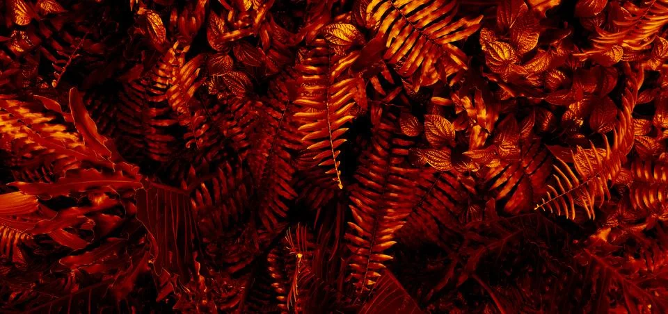 Tropical red leaf background. Stock Photos