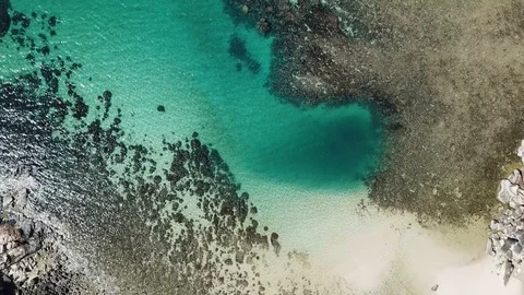 Tropical Reef 2 Видео 119574598