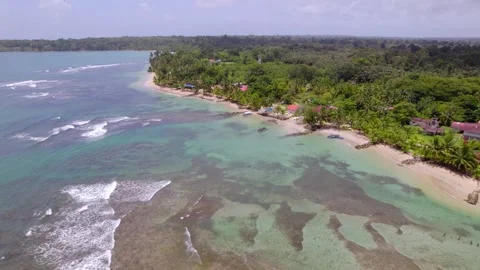 Tropical reef and palm-lined coast in Bocas del Toro, Panama Vídeo Stock 345630792