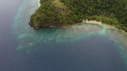 Tropical Reef in Indonesia Stock Footage 177938671