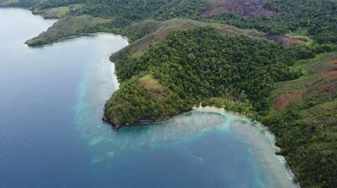 Tropical Reef Stock Photos