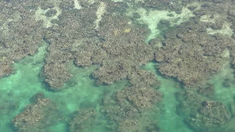 Tropical reef seen from above Stock Footage 71285869
